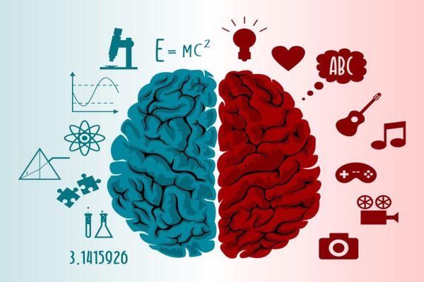 5 Aktivitas Kreatif yang Bisa Latih Otak Kanan dan Kiri